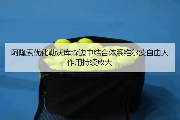 阿隆索优化勒沃库森边中结合体系维尔茨自由人作用持续放大