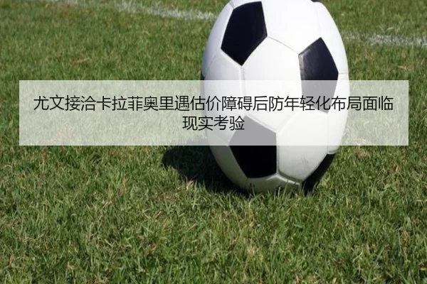 you-wen-jie-qia-ka-la-fei-ao-li-yu-gu-jia-zhang-ai-hou-fang-nian-qing-hua-bu-ju-mian-lin-xian-shi-kao-yan-2-994.jpg