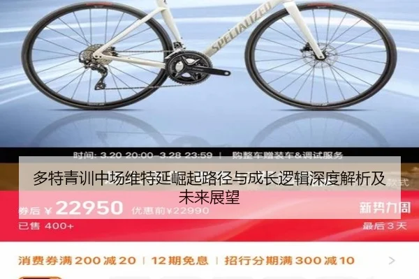多特青训中场维特延崛起路径与成长逻辑深度解析及未来展望